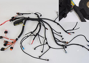 Fuyang Import & Export